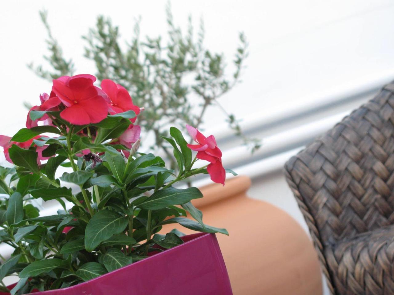 MaMà Apartment Lecce Ngoại thất bức ảnh